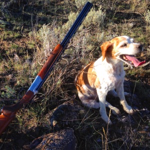 Sunny Girl.  No dog ever loved the hunt more.  